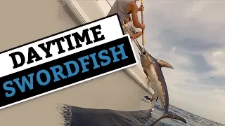 Daytime Swordfish Caught with Underwater Footage