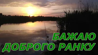 Привітання з Добрим Ранком! Дуже гарне вітання Доброго Ранку! Добрий ранок красиве привітання