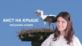 АИСТ НА КРЫШЕ Феськова София БЕРЕГИТЕ МИР!