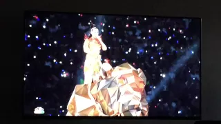 Super Bowl XLIX - Half Time Show - Katy Perry "Roar"
