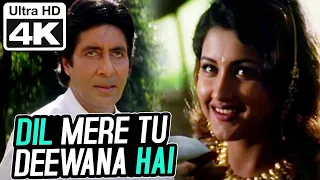 Dil Mere Tu Deewana Hai  K. S. Chithra | Sooryavansham Songs |Amitabh Bachchan, Soundarya