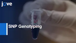 SNP Genotyping Sensitivity in Malaria | Protocol Preview