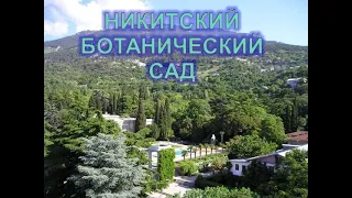 НИКИТСКИЙ БОТАНИЧЕСКИЙ САД. ПАРАД ТЮЛЬПАНОВ. И почему такие дороги!