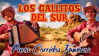 Los Gallitos Del Sur - 20 Corridos Famosos (Album Completo)