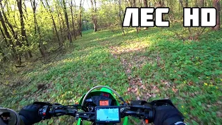 ЭНДУРО-РЕЛАКС. Красивый лес глазами мотоцикласта [HD]