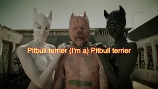 Die Antwoord - Pitbull Terrier (Retroman's karaoke version)