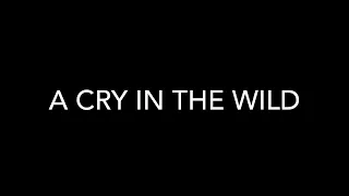 Trailer for A Cry in the Wild