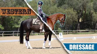 Western vs. Dressage - What's the Difference?