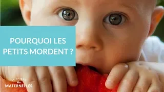 Pourquoi les petits mordent ?  - La Maison des maternelles #LMDM