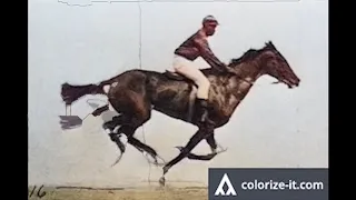 The Horse in Motion (1887) Colorized