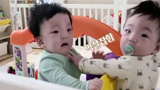 멱살(?)잡고 싸우는 쌍둥이 (쌍둥이 싸움모음)