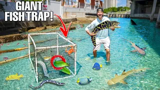 Saltwater FISH TRAP Catches MORAY EELS And EXOTIC FISH To Stock My POND!