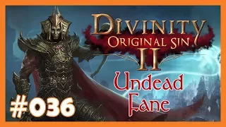 Let's Play Divinity: Original Sin 2 - Fane (Undead) #036 💀 Leerenerwachter Bewohner 💀 [Deutsch]