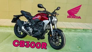 Honda CB300R - Твой первый мотоцикл