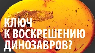 КЛЮЧ К ВОСКРЕШЕНИЮ ДИНОЗАВРОВ? Ярослав Попов | Палеонтологические истории #006