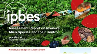 Media launch of the IPBES Invasive Alien Species Assessment Report (#IPBES10)