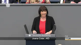 Joana Cotar: Privatsphäre und Sicherheit im digitalen Raum [Bundestag 29.11.2018]