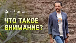 Что такое внимание