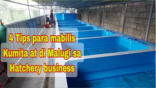 Bakit Mas Kumikita sa Hito Hatchery Business vs. Hito Grow out?