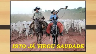 ISTO JÁ VIROU SAUDADE*****GOIANO E PARANAENSE(Goiano e Donizete dos Santos)