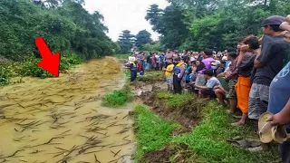 Такое Бывает Раз в Жизни! Редкие Случаи Снятые на Камеру!