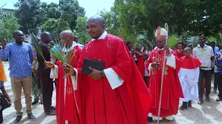 Extrait de dimanche des Rameaux : Cathédrale et Aumônerie Universitaire Paroisse Saint Esprit