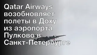 Qatar Airways возобновляет полеты в Доху из аэропорта Пулково в Санкт-Петербурге