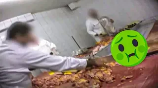 Kebab, enquête sur les usines à viande 😷😫😱