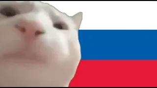 cat vibing in russia