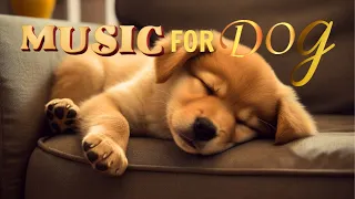 Gentle Relaxing Music For Dogs To Sleep 🎵🐶💖Music Helps Stabilize Dogs' Psychology & Reduce Stress