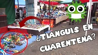 Al Fin Hay Tianguis!!! *Mini Cacería*