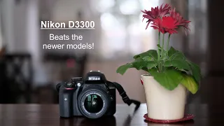 Nikon D3300 - maybe the best camera in its series!