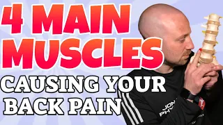 The 4 main muscles that may be causing your back pain