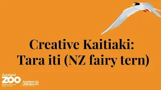 Creative Kaitiaki - Tara iti (New Zealand fairy tern)
