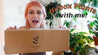 Surprise Houseplant Unboxing | Planthaven Toronto (my Hoya collection is growing!!)