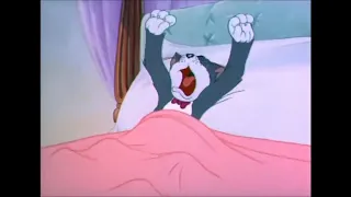 Tom And Jerry The Million Dollar Cat Part 3