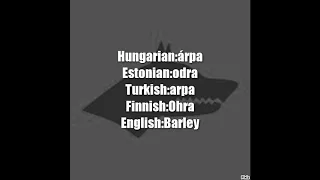 Estonian Finnish Hungarian Turkish Similarities some vocabularies