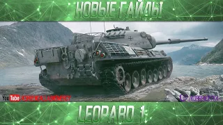 КОШКА ПРИБОЛЕЛА-Leopard 1