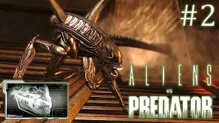 Aliens versus Predator 2010 // За чужого // Часть 2