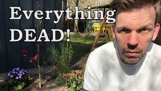 Renovating an abandoned Tiny House #47: Everything DEAD!