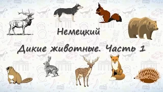 Животные на немецком. Дикие Животные. Часть 1 | ВИДЕОТРЕНАЖЕР