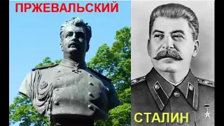 Сталин сын Пржевальского