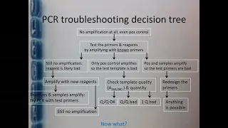 PCR & qPCR Troubleshooting - Part 4
