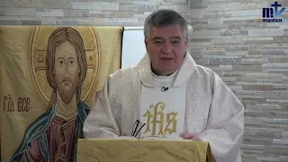 Homilía de hoy | V Domingo de Pascua | 28-04-2024 | Pbro. Santiago Martín, FM