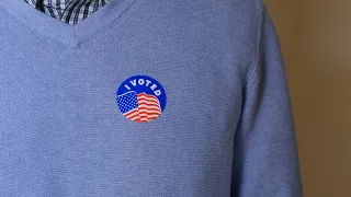 How To Vote Safely During the 2020 US Election | Global Citizen Explains