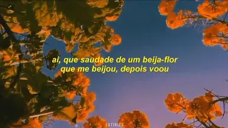 Henrique e Juliano, Marília Mendonça - Flor e o Beija-Flor (Letra)