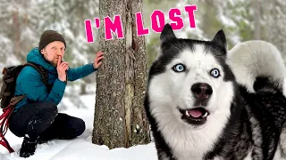 Husky Lost Me In the Forest! Hide And Seek With Dogs