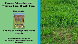 Basics of Sheep and Goat Health Part 1