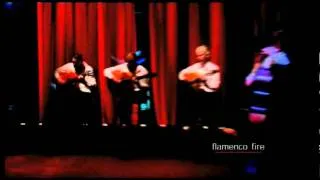 Flamenco Fire