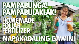 EPEKTIBONG PAMPABUNGA AT PAMPABULAKLAK NG HALAMANG GULAY! -  HOMEMADE FOLIAR FERTILIZER